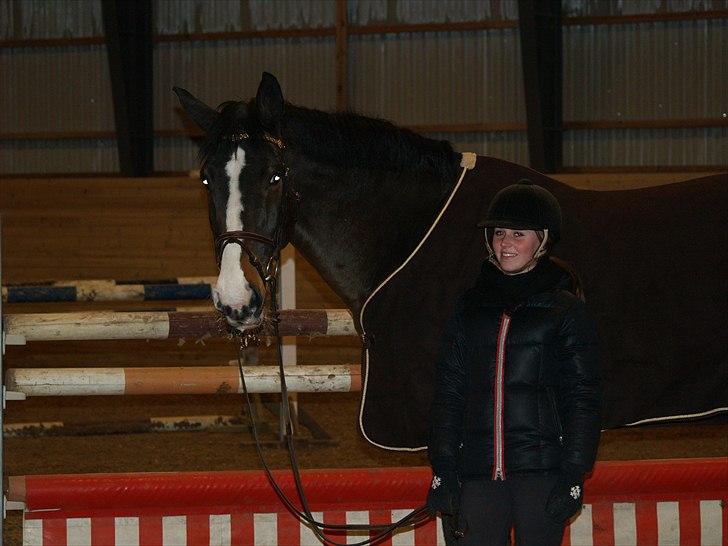 Dansk Varmblod Chamør billede 8