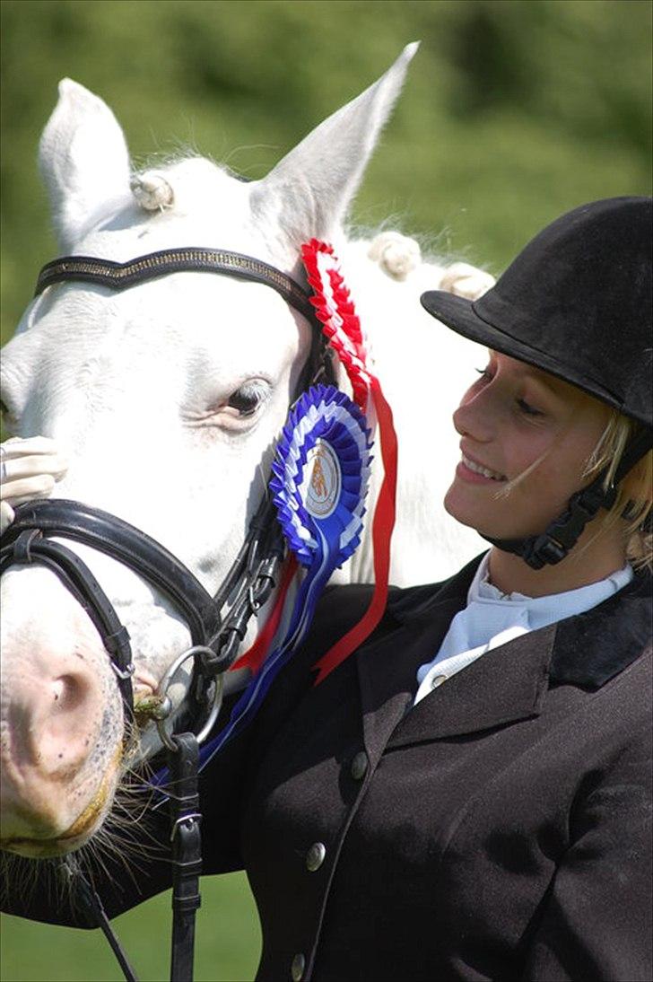 Connemara Mosedals Snowflake billede 14