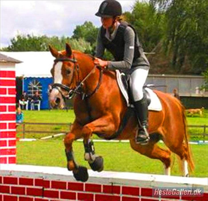 Anden særlig race Rosengårdens Papaya billede 5