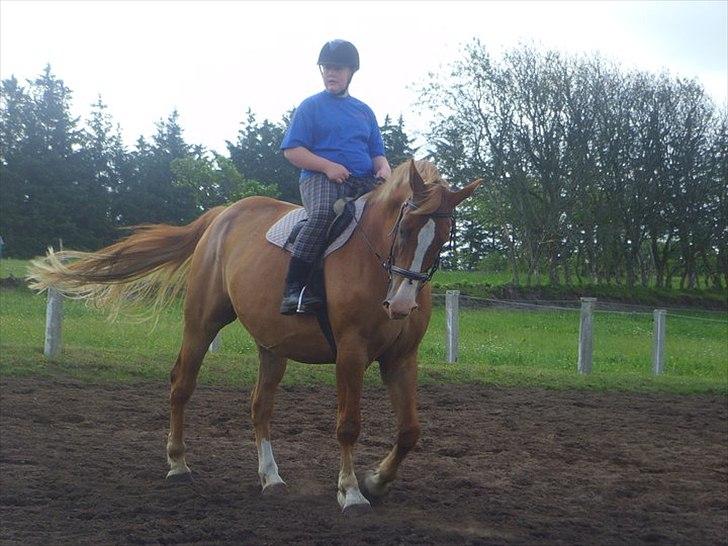 Anden særlig race Anton - (Antonio) - Velkommen til Antons profil, Håber i vil nyde den :D! billede 1