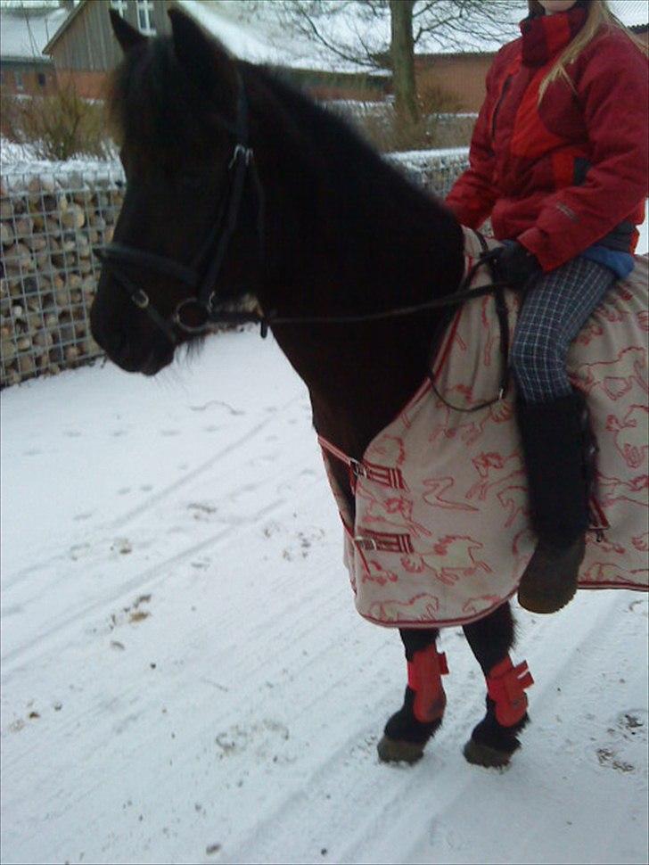 Anden særlig race Beauty part - hov Beauty var der en lyd.!hæhæ billede 16