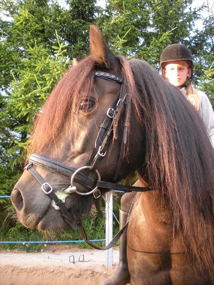 Anden særlig race Skipper Skræk - Hej med jer, og velkommen til min profil. billede 1