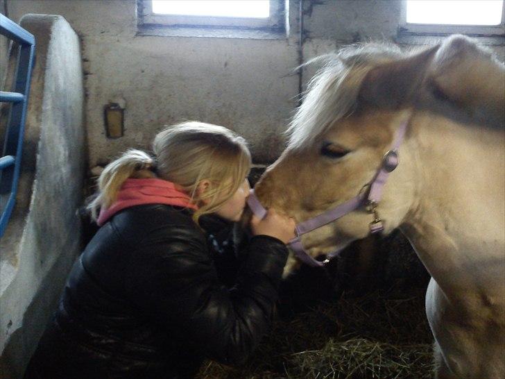 Anden særlig race isbjørn  *part* billede 7