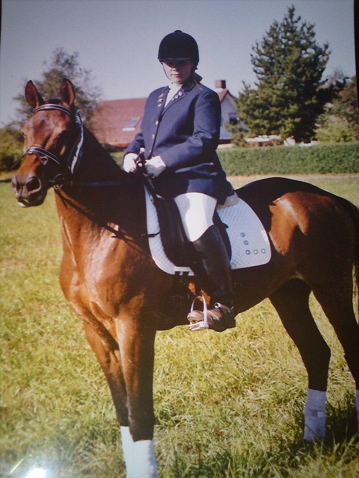 Anden særlig race Chiko * R.I.P * - Vores sidste stævne, hvor vi fik en 3plads <3  billede 6