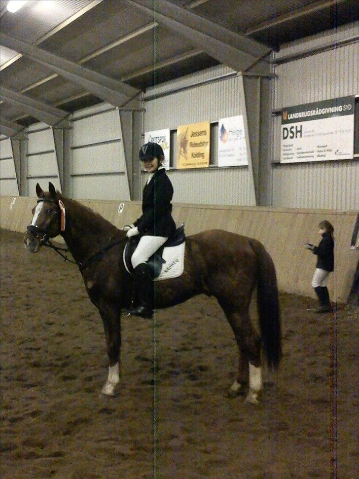 Traver Monty:.... Han hedder rigtig Seep Fella Reg nr.: D billede 14