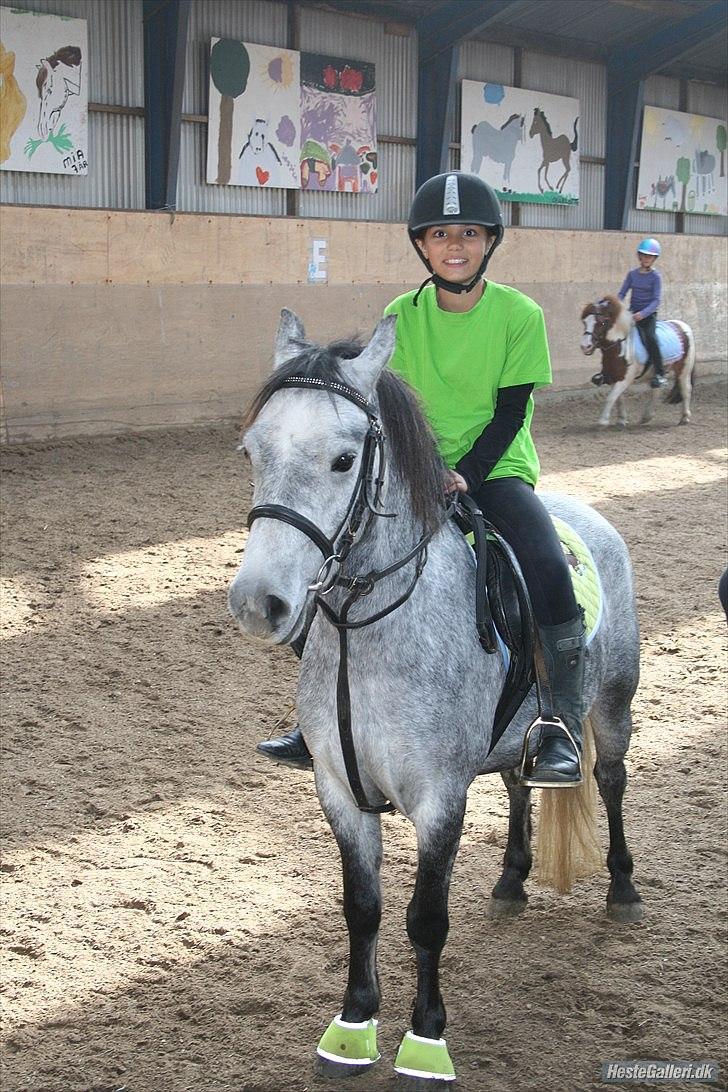 Welsh Pony (sec B) Dustin<3 SOLGT billede 2