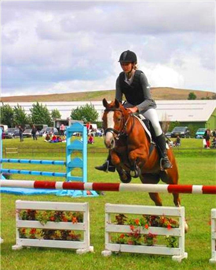 Anden særlig race Rosengårdens Papaya billede 16