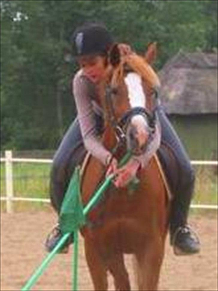 Anden særlig race Rosengårdens Papaya - På ridelejr :) billede 17