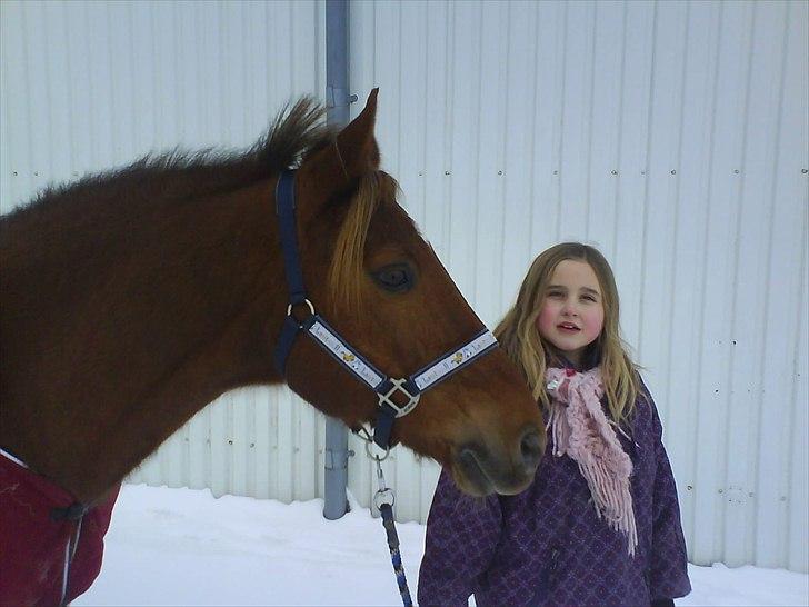 New Forest Vesterhedegårds Kir  billede 17