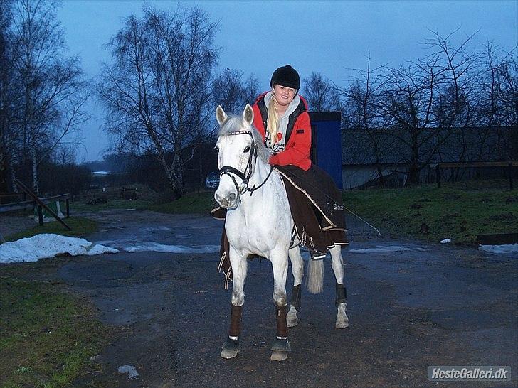 Irsk Sportspony Mikado <3 *Savnet* :'( - smuk smuk smuk  billede 12