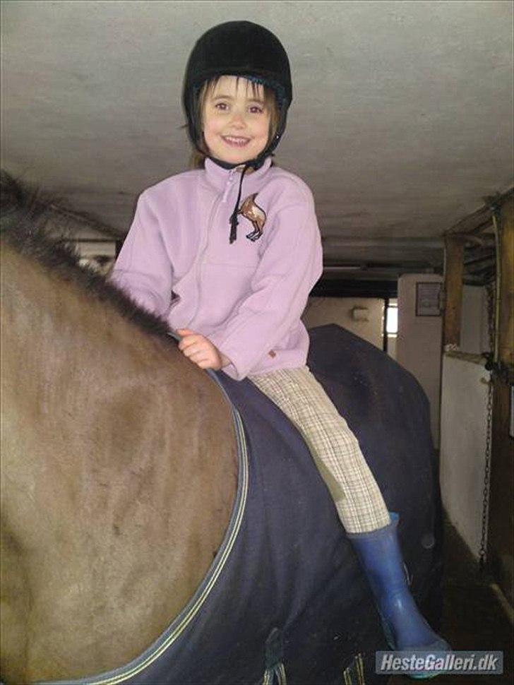 DSP bitten billede 6