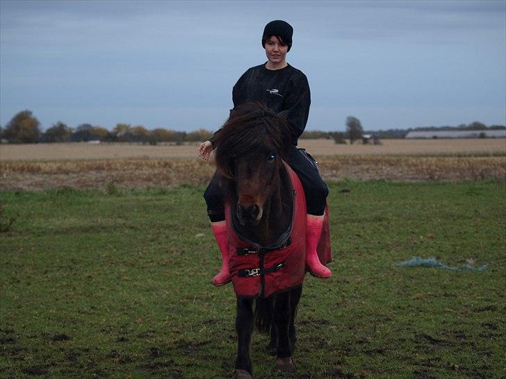 Islænder Ýrsa jagtgården - Med ejer på ryggen billede 6