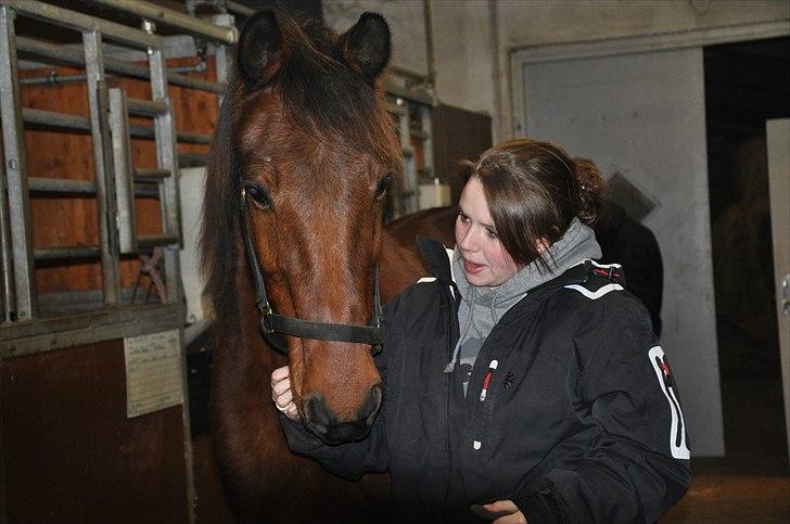 Traver Torino (Know It All) - Du er bare mit et og alt. ! <3 billede 5