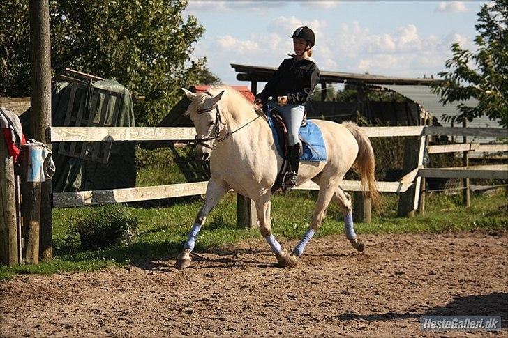 Anden særlig race Karlsbjerggårs´s Shadow A - 16 # Cille og Shadow i rav. Foto: Jeanett billede 13