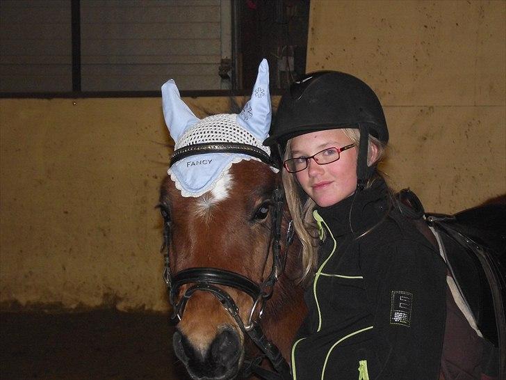 DSP Bæklunds Maxi  billede 1