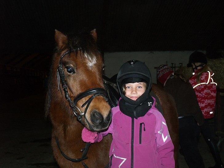 DSP Bæklunds Maxi  billede 4