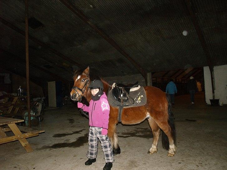 DSP Bæklunds Maxi  billede 5