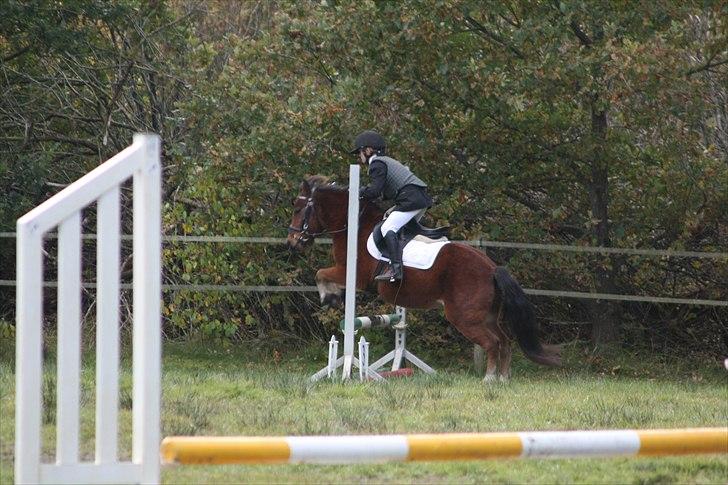 DSP Bæklunds Maxi  billede 6