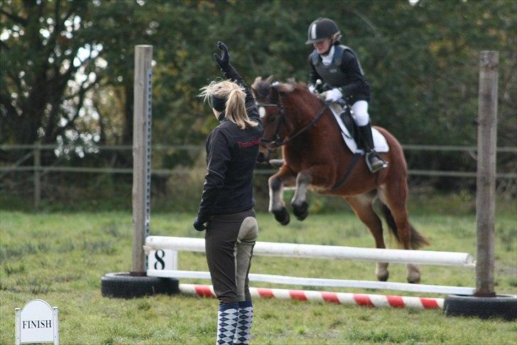 DSP Bæklunds Maxi  billede 7