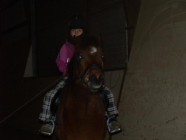 DSP Bæklunds Maxi  billede 8