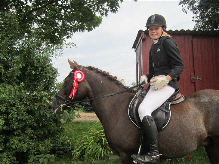 Anden særlig race Picasso  - Lc springning 1. plads :D August 2010 billede 1