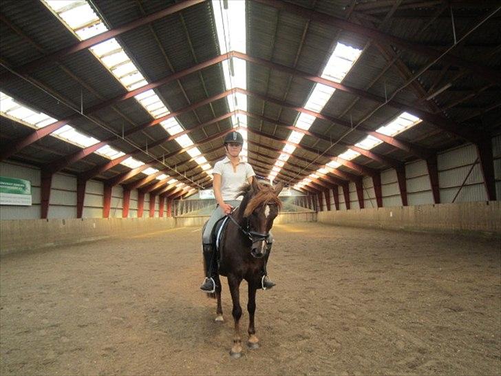 Anden særlig race Picasso  - Træning sommeren 2010 :D billede 5