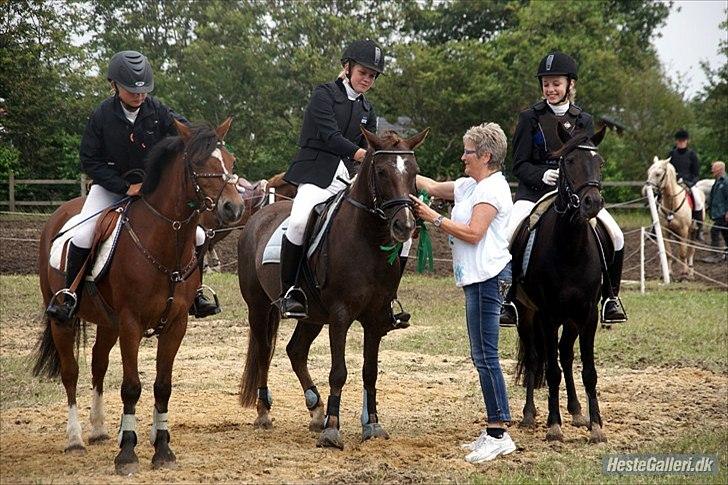 Anden særlig race Picasso  - Lb 7. plads :D Ponyuge 2010 billede 7