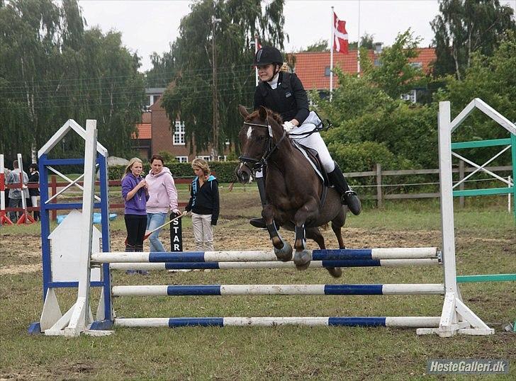 Anden særlig race Picasso  - Ponyuge 2010 billede 10