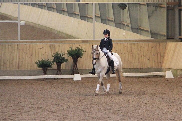 DSP Vejlebros Stella billede 17