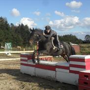 Anden særlig race Wonder