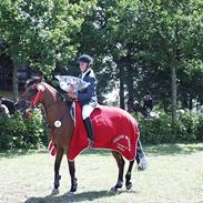 Anden særlig race LG`s Gipsy Lady RIP