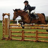 Anden særlig race LG`s Gipsy Lady RIP