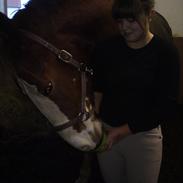 Frederiksborg picasso