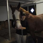 Frederiksborg picasso