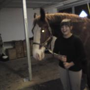 Frederiksborg picasso