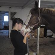 Frederiksborg picasso