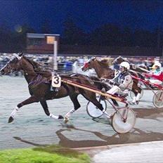 Traver Flamboyant (død)