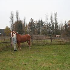 Frederiksborg Ricko Nydal 