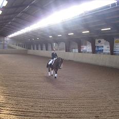 Anden særlig race Schima Charei! <3