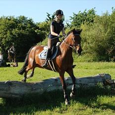 Anden særlig race Bakkely Skywalker