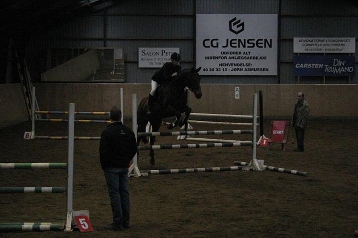 Dansk Varmblod Ran Frydenlund - Klubmesterskab HDR 2010 billede 9