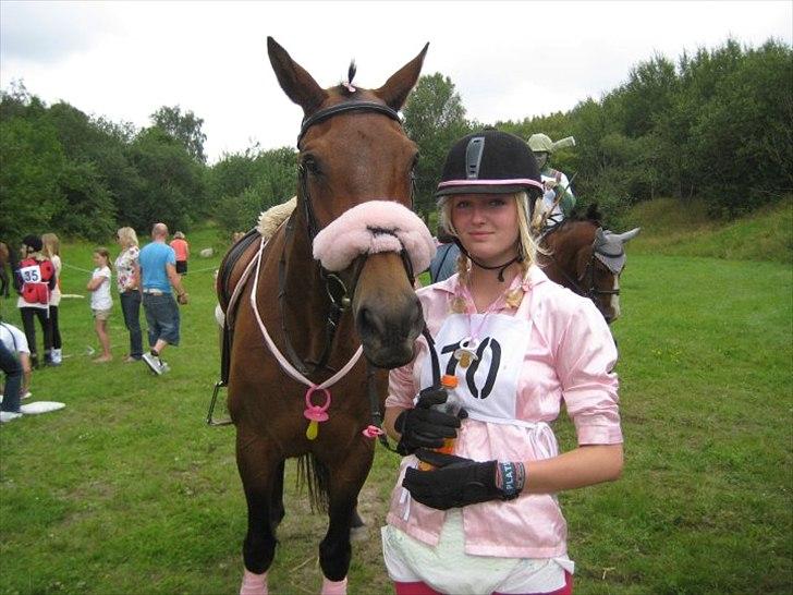 Dansk Varmblod Ran Frydenlund - Ringridning 2010 billede 12