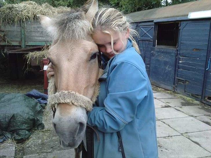 Fjordhest Freja (R.I.P) billede 13
