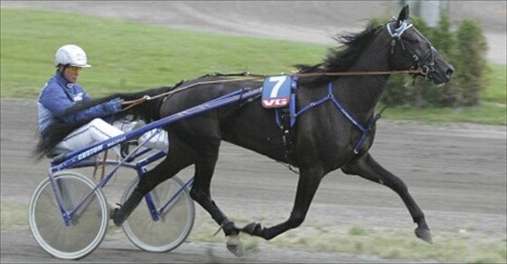 Traver Flamboyant (død) - Flambe med sin gamle træner i Norge billede 4