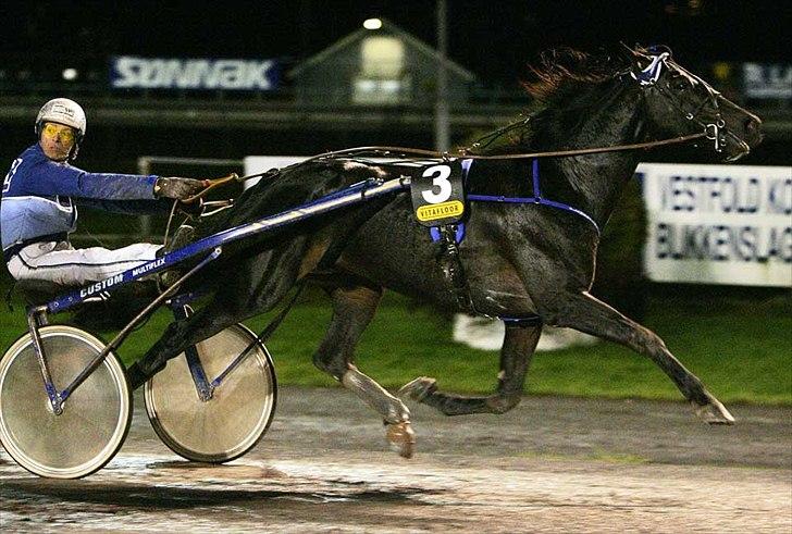 Traver Flamboyant (død) billede 5