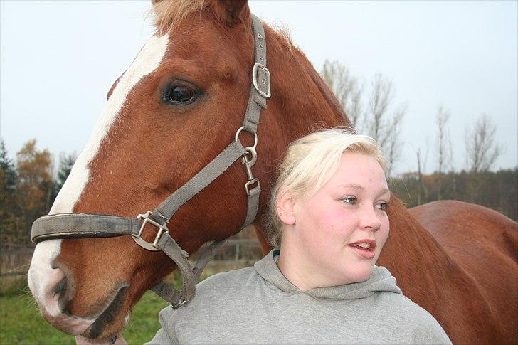 Frederiksborg Ricko Nydal  billede 5