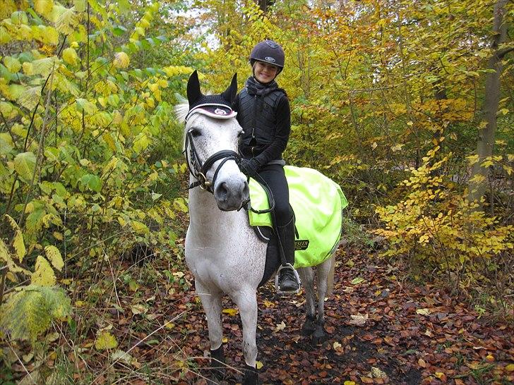 Anden særlig race Chapplin <3 Solgt :-( - virkelig god tur i dyrehaven var bare så sød billede 14