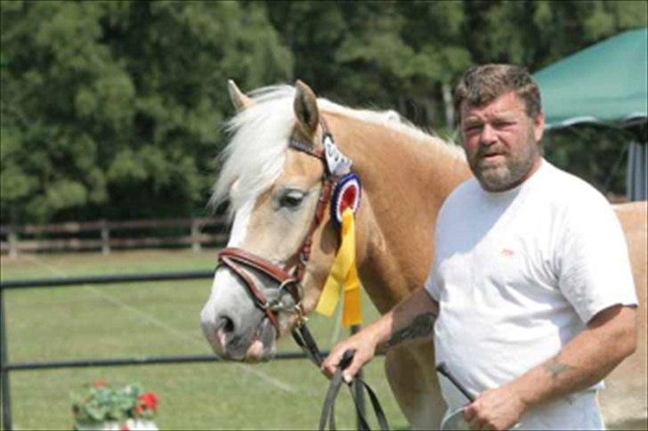 Haflinger Marlis af Kroggaard - Eliteskue i Padenstedt., med stolt ejer. billede 10