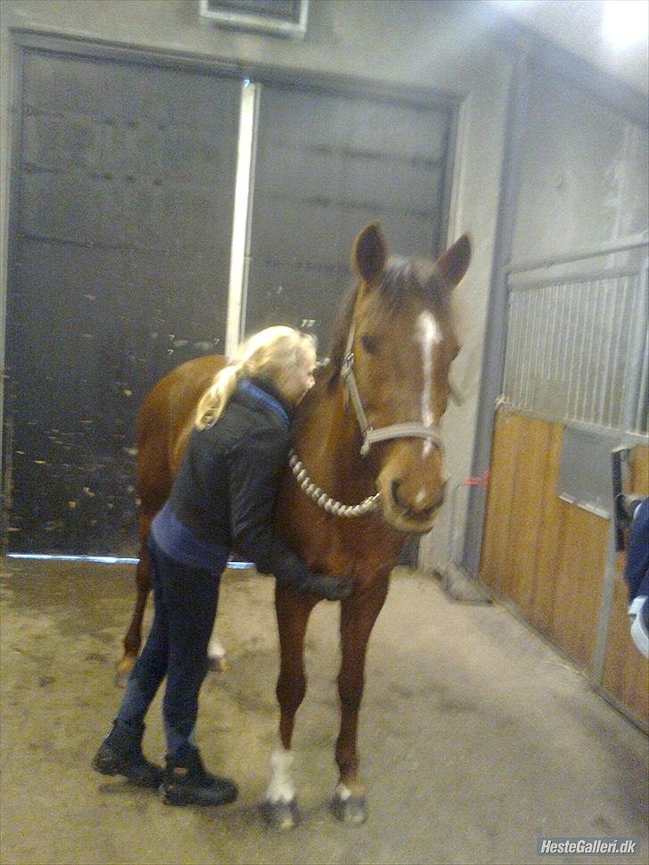 Anden særlig race                 Candy   HVR [Tidl. passer] billede 13