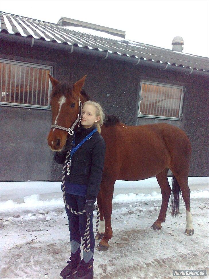 Anden særlig race                 Candy   HVR [Tidl. passer] billede 14